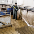 Das Bild zeigt das Produkt Kärcher Beheizter Hochdruckreiniger HDS 13/20 -4 St EU-I.